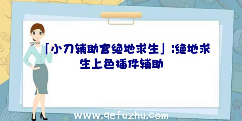 「小刀辅助官绝地求生」|绝地求生上色插件辅助